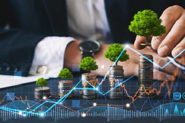 ST岭南业绩恶化面临退市风险，仍处立案调查索赔征集中